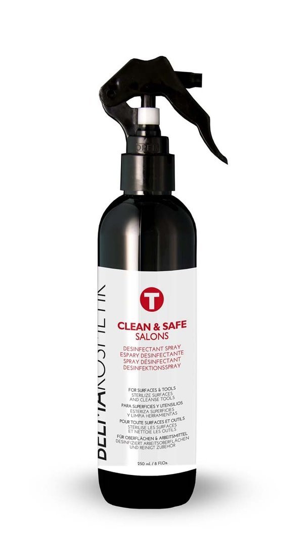 CLEAN & SAFE Desinfektionsspray 250ml